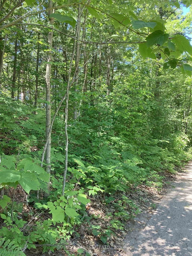Lot 402 Desroches Trail