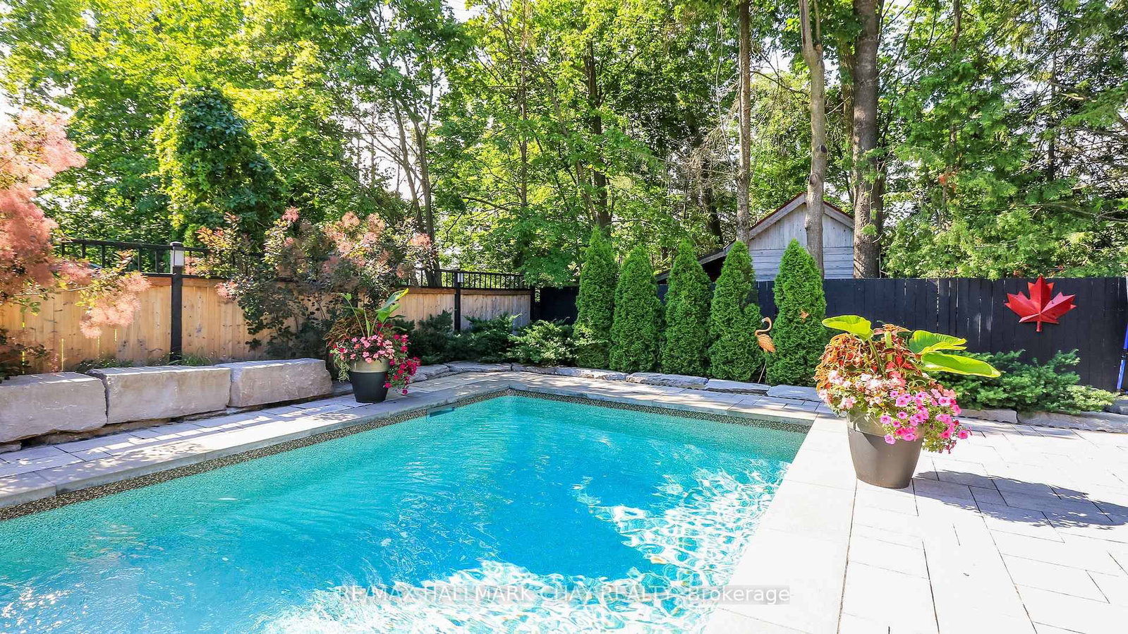 17 Bowman Avenue • Barrie, ON photo 12