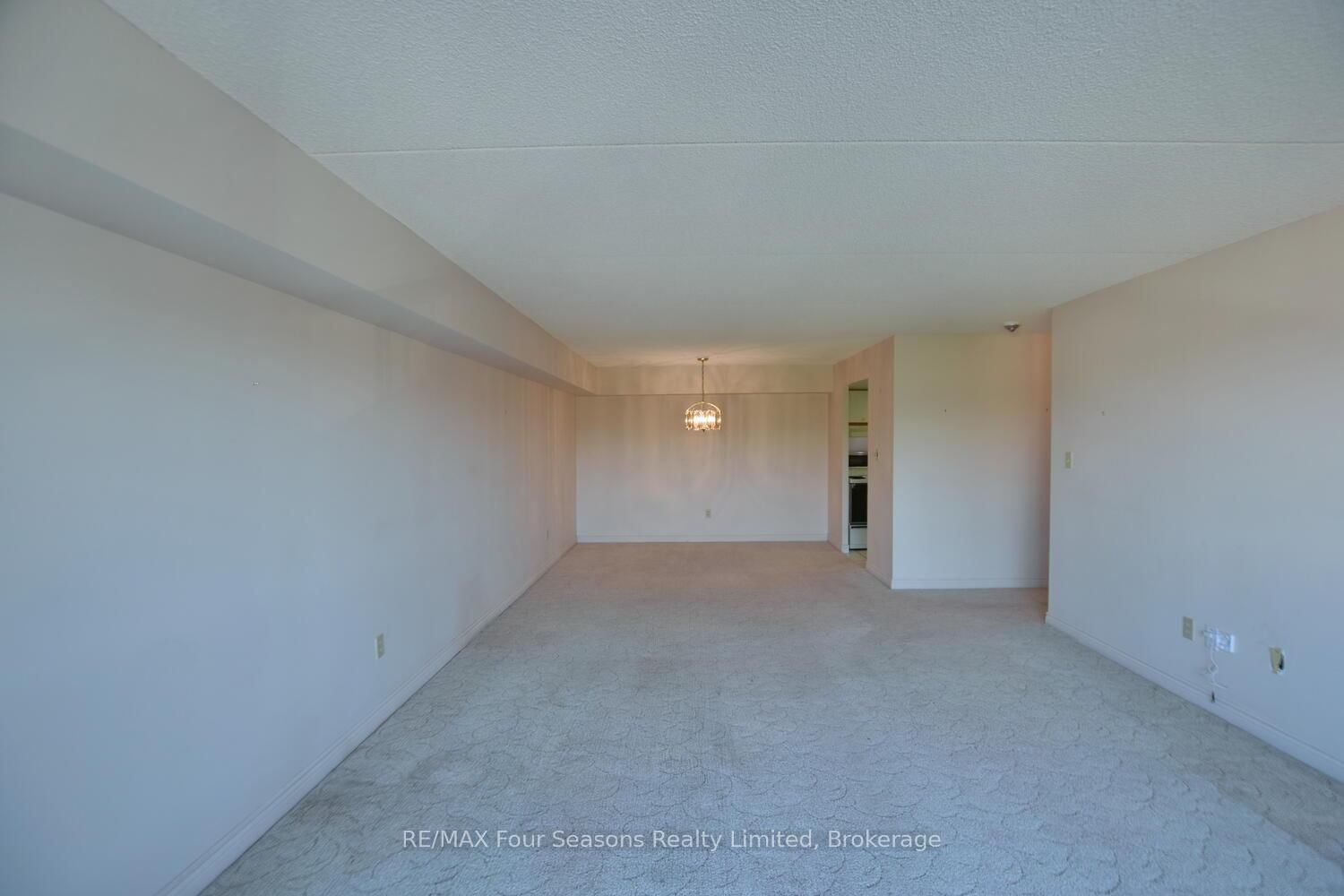 172 Eighth Street • #505 • Collingwood, ON photo 19