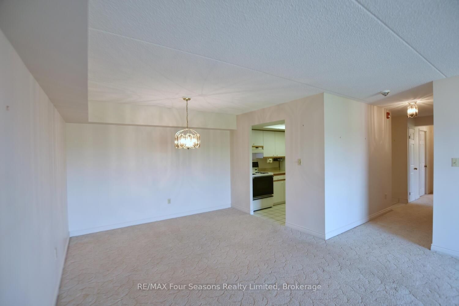 172 Eighth Street • #505 • Collingwood, ON photo 20