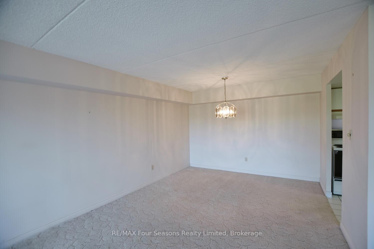 172 Eighth Street • #505 • Collingwood, ON photo 22