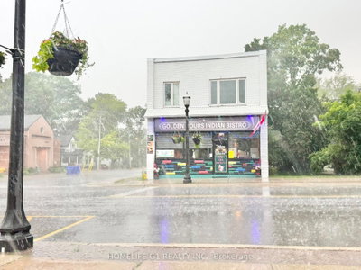 Sale Of Business for sale at 46 Queen Street, Springwater, Ontario, L0L 1P0 - Elmvale - MLS: S13519972