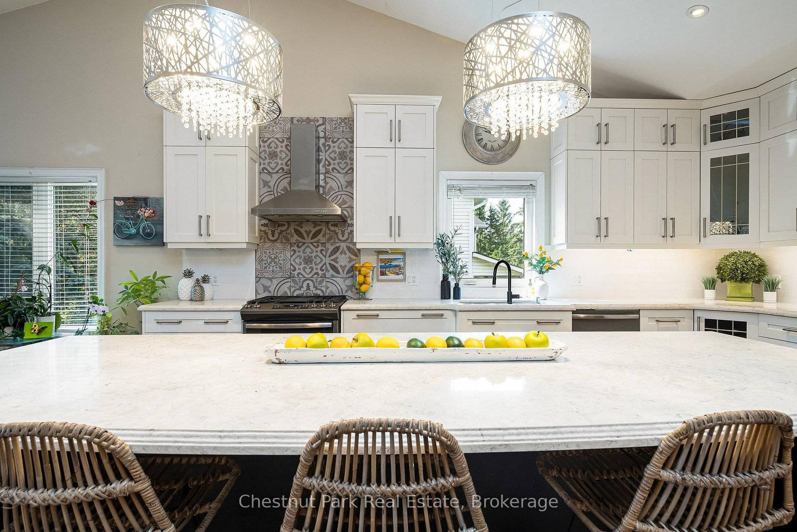 15 Saunders Street • Collingwood, ON photo 16