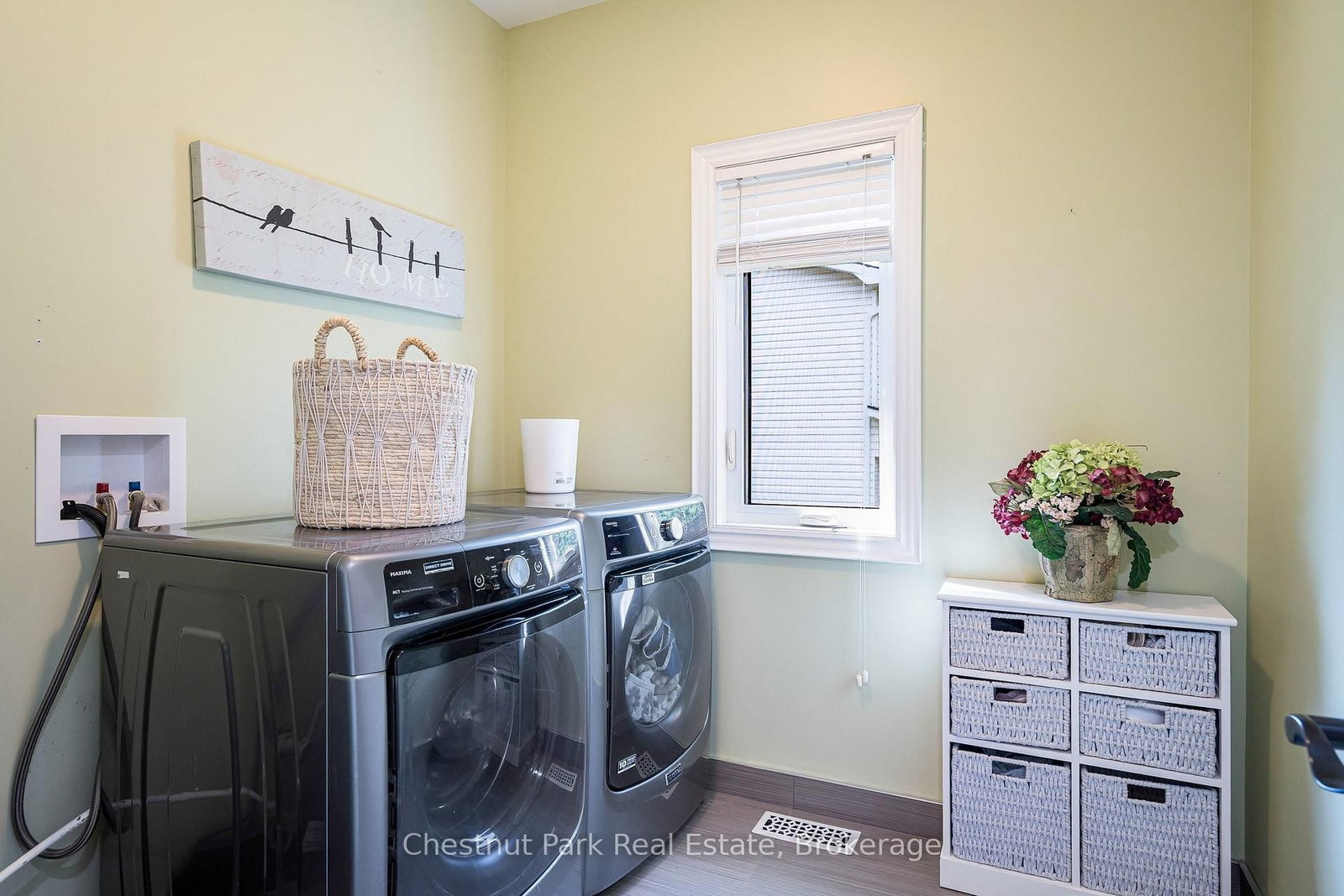 15 Saunders Street • Collingwood, ON photo 29