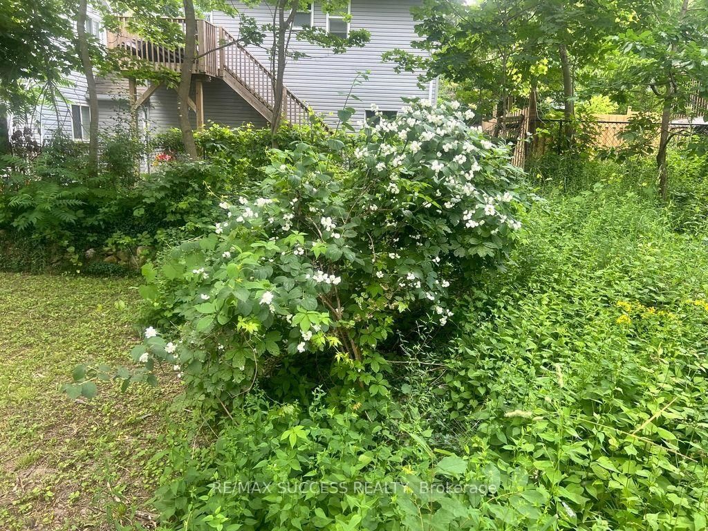243 Harvey Street W • Orillia, ON photo 39