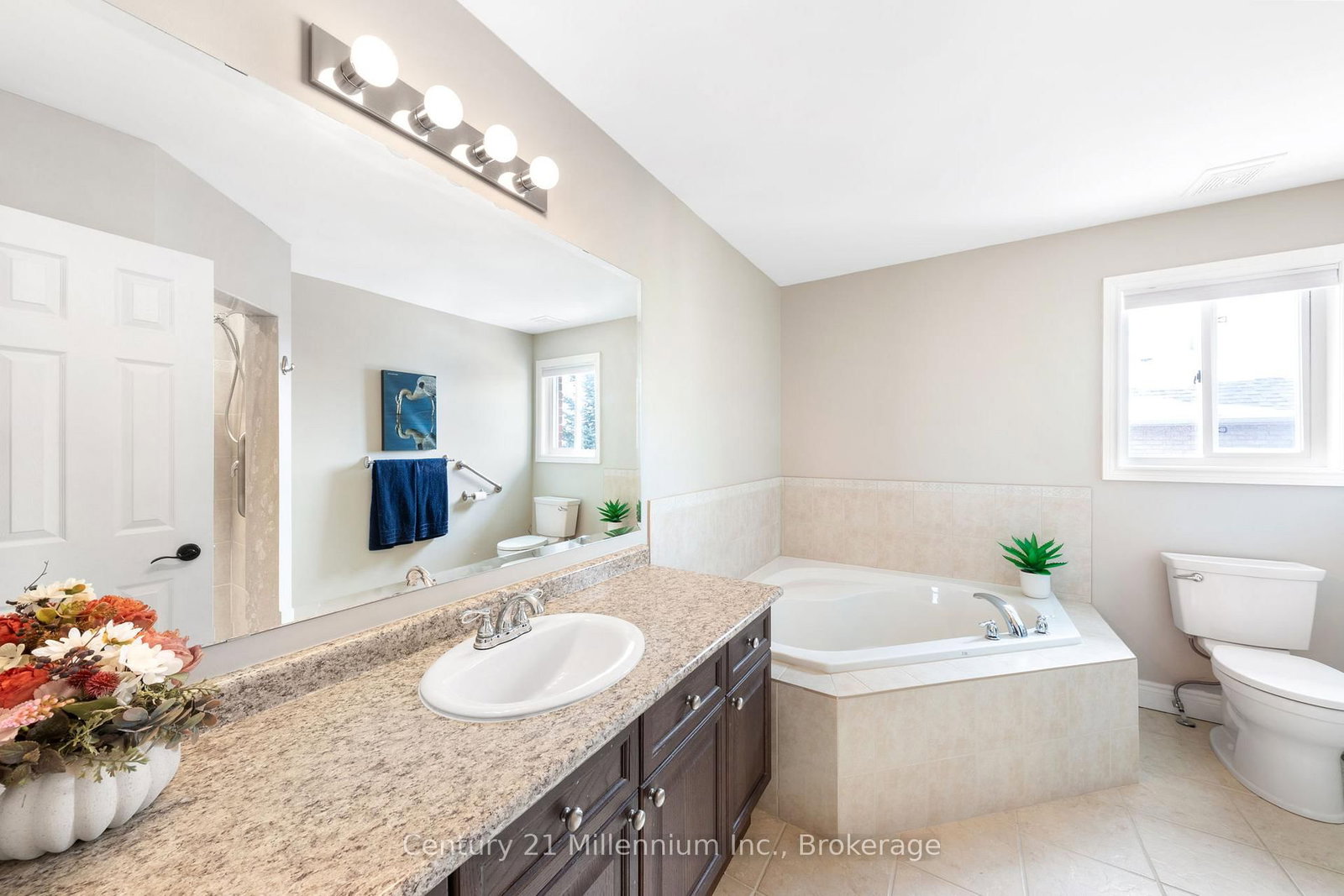 9 Hill Street • Collingwood, ON photo 14