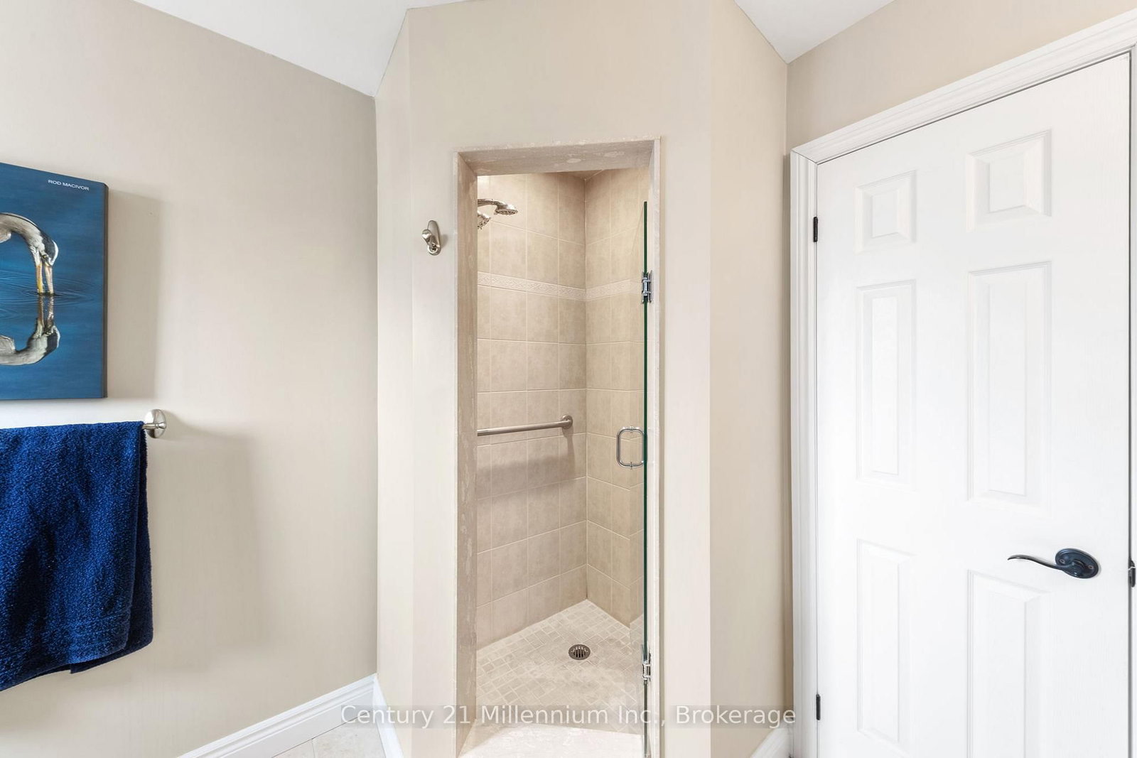 9 Hill Street • Collingwood, ON photo 17