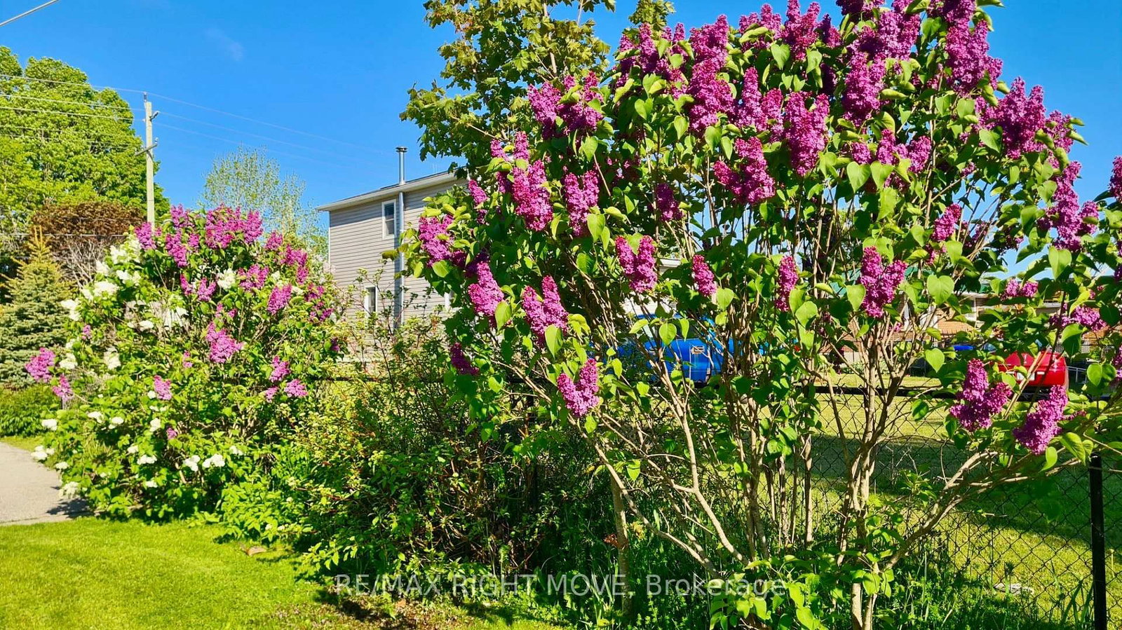 2344 12 Highway • Ramara, ON photo 21