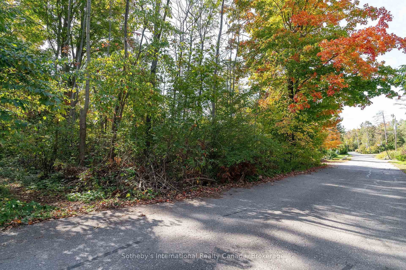 126 Brambel Road • Oro-Medonte, ON photo 38
