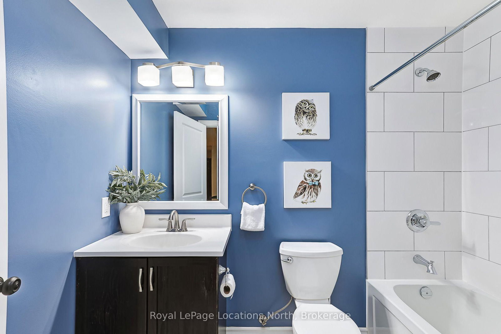 121 Mary Street • Collingwood, ON photo 33