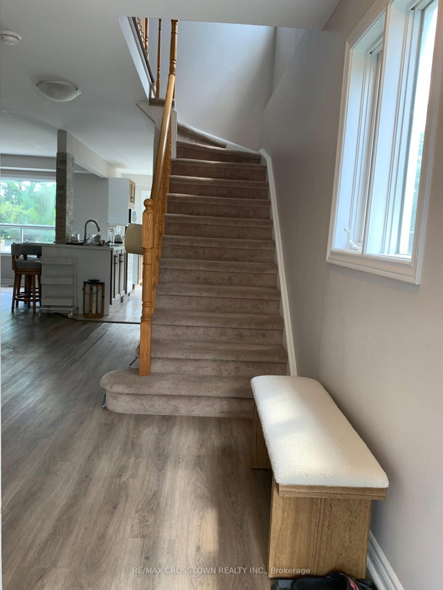 55 Brucker Road