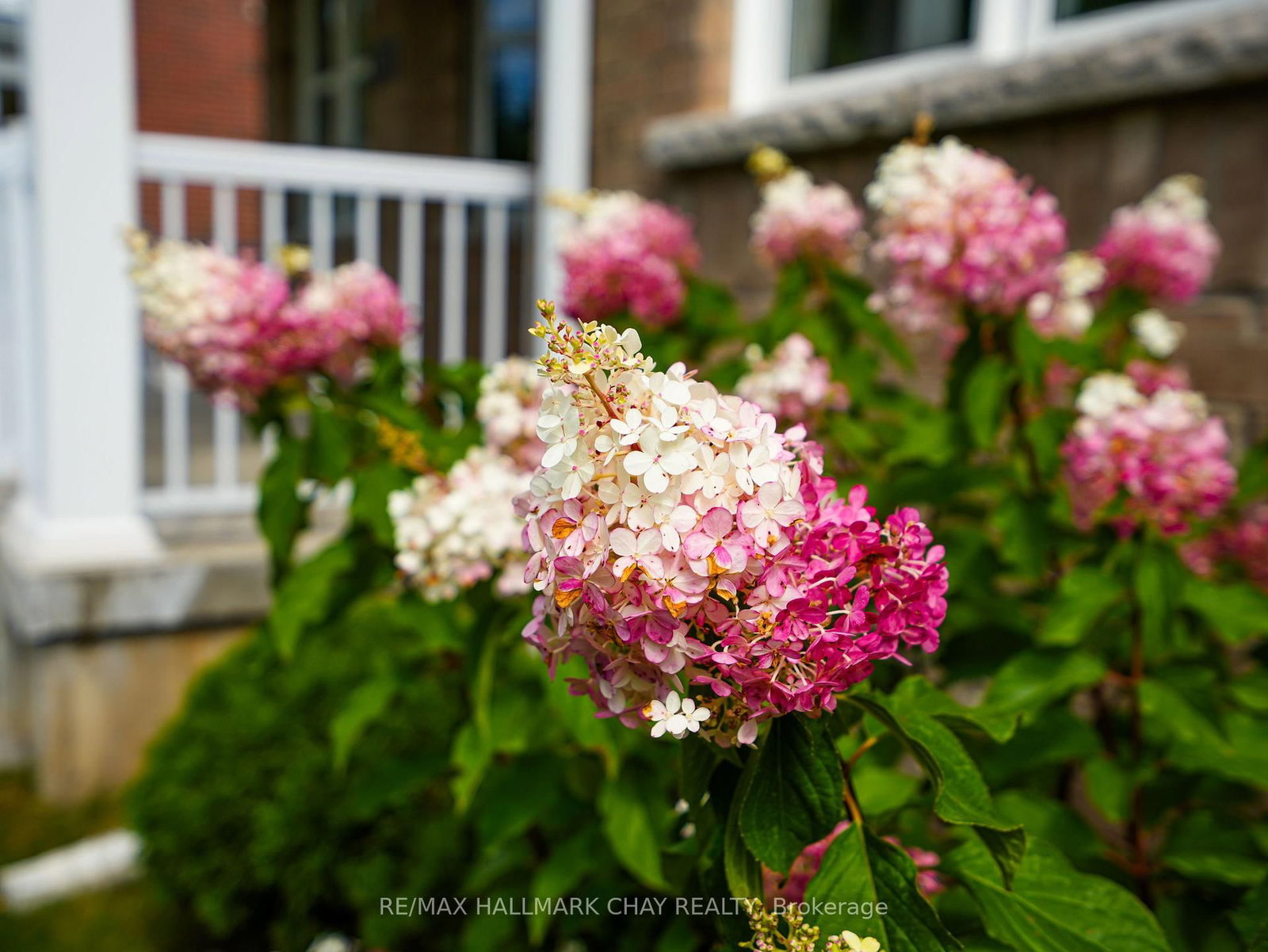 213 Mary Street • Clearview, ON photo 8