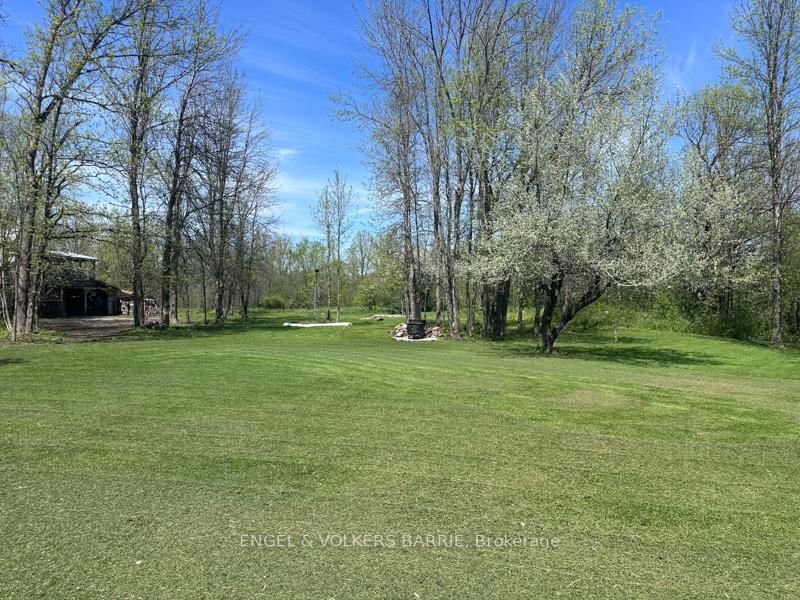 1209 Balkwill Line • Severn, ON photo 35