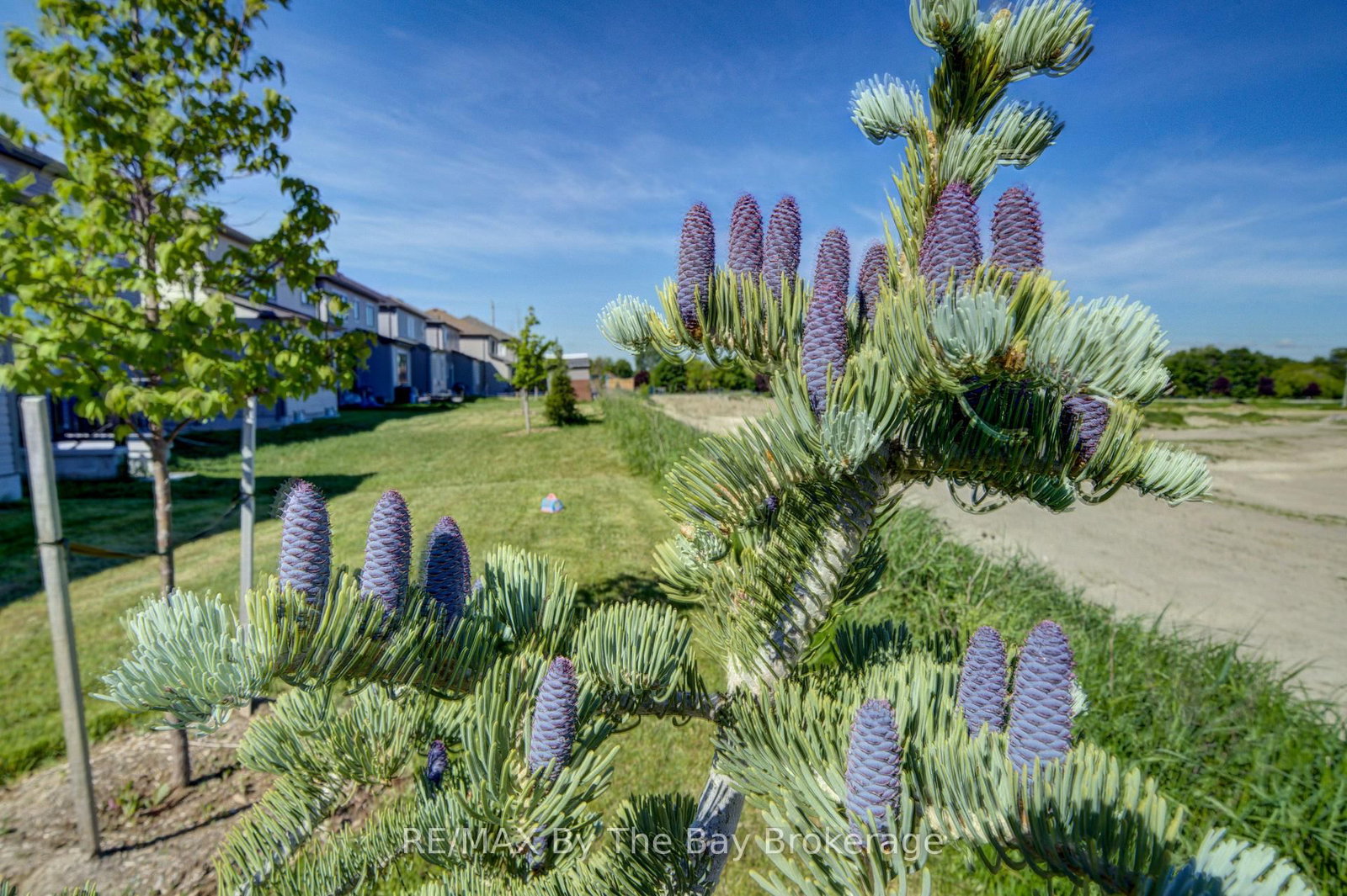 15 Union Boulevard • Wasaga Beach, ON photo 40