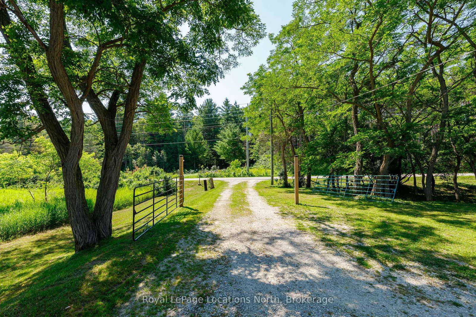 4080 12 Concession • Clearview, ON photo 4