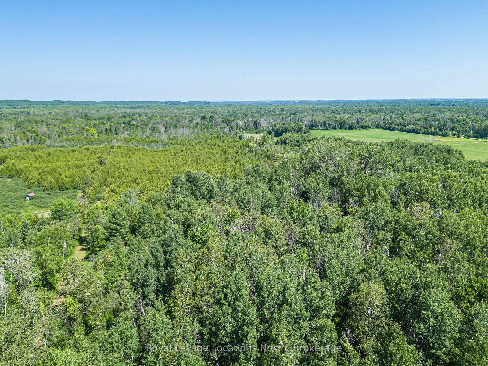 4080 12 Concession • Clearview, ON photo 5