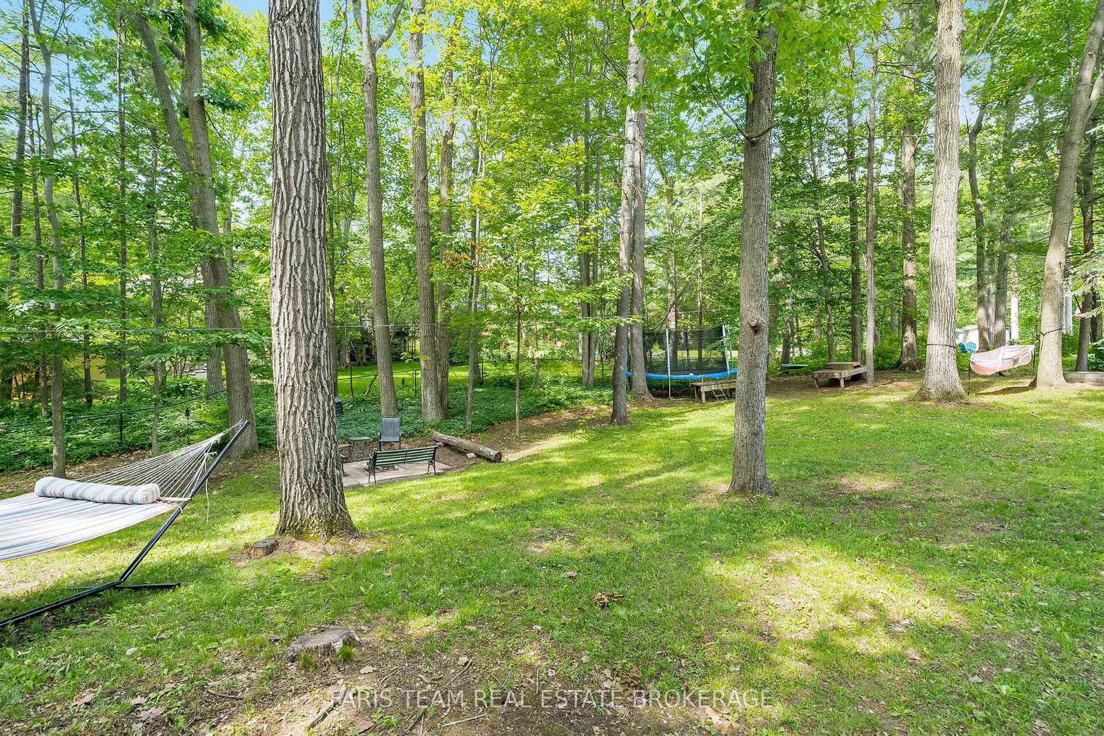 1202 Sunnidale Road • Springwater, ON photo 40