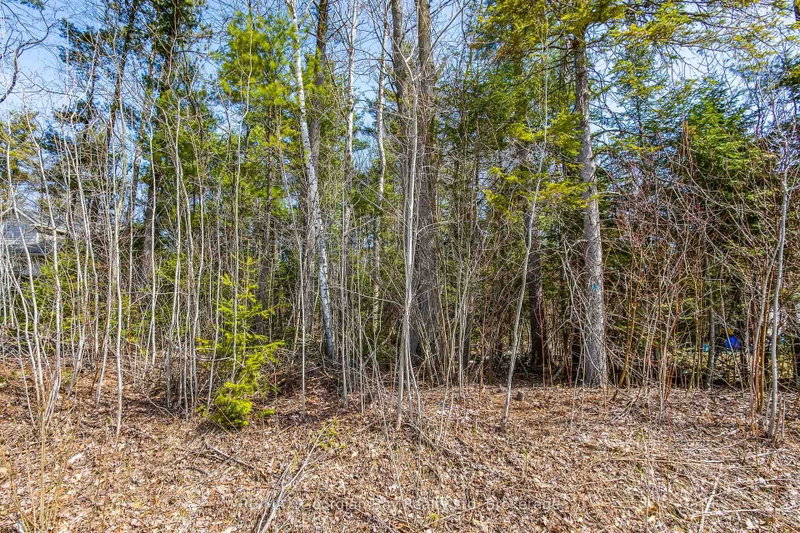 Lot 102 Emilio Street