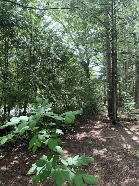 341 N Tiny Beaches Road • Tiny, ON photo 6