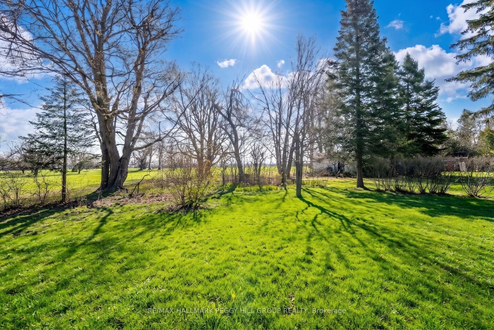 386 N Peter Street • Orillia, ON photo 21
