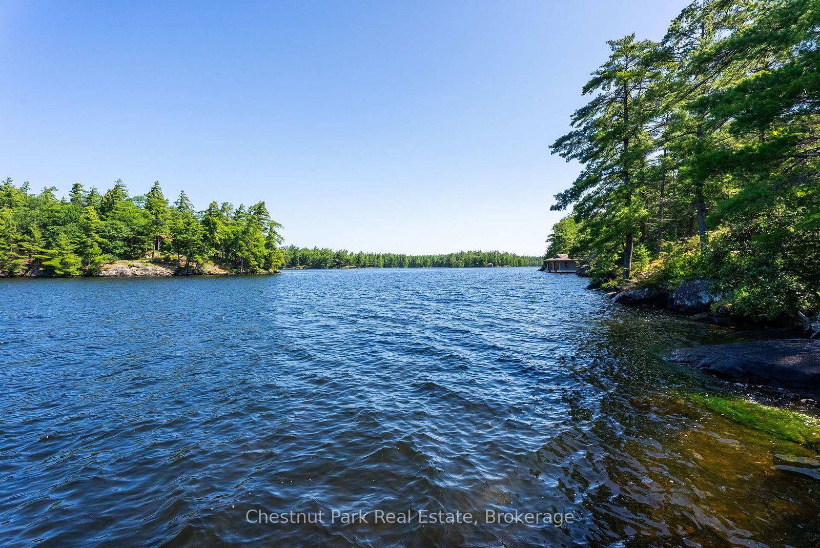 4296 Manton Lane • Severn, ON photo 39