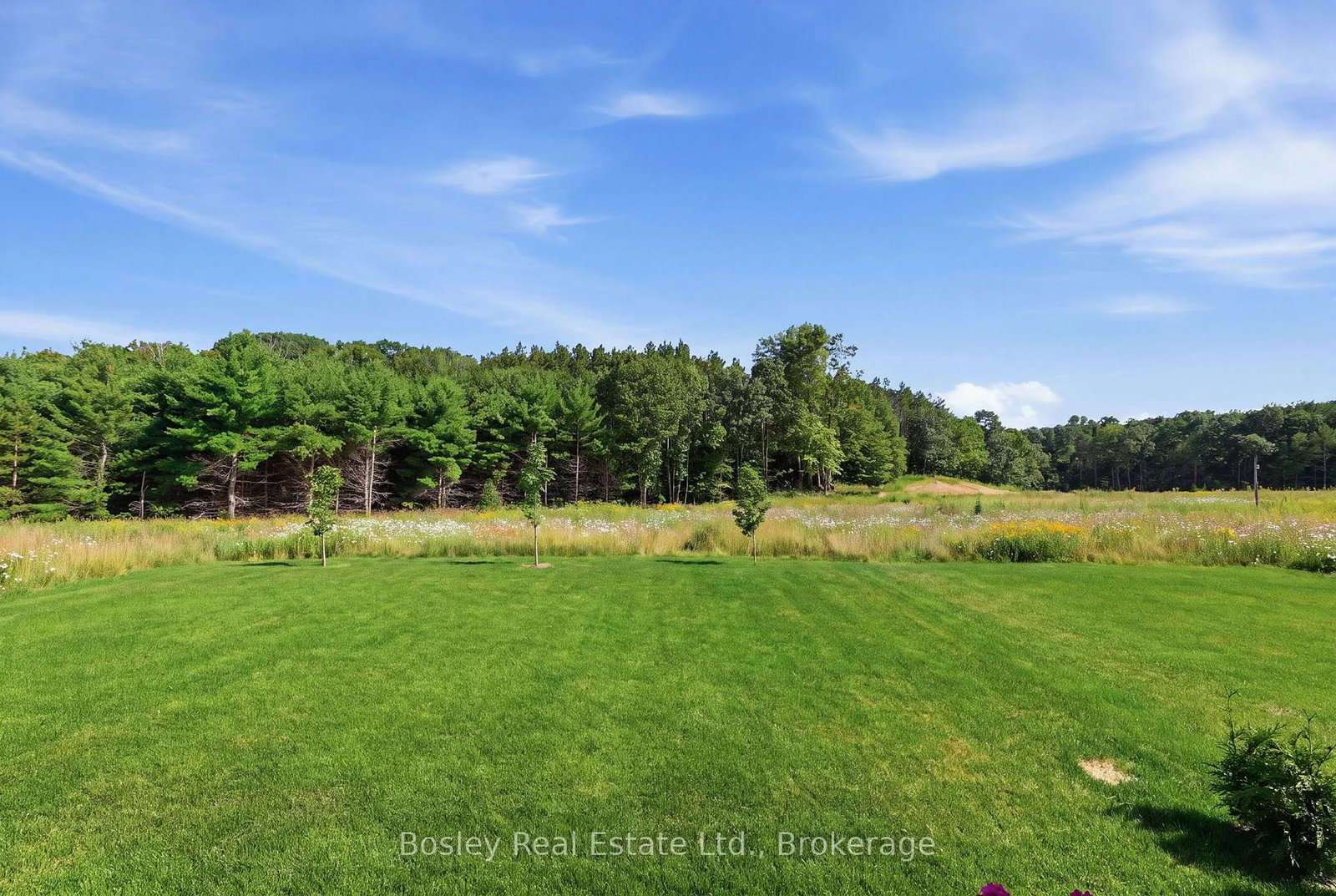 15 Private McKay Drive • Oro-Medonte, ON photo 49