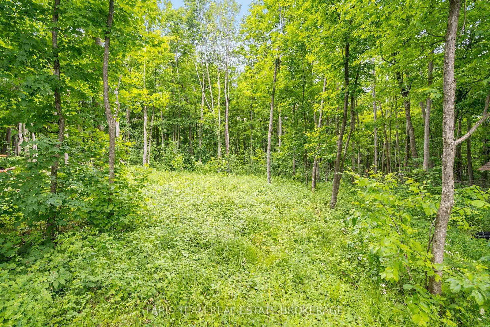 365 Robins Point Road • Tay, ON photo 20