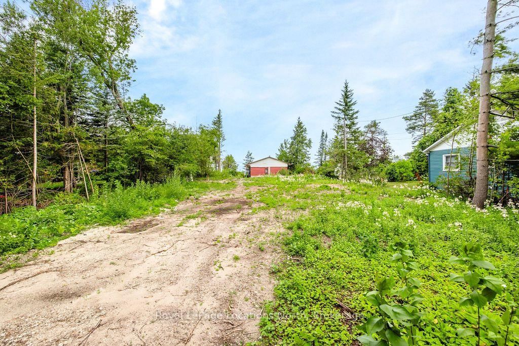 1864 Shore Lane • Wasaga Beach, ON photo 14