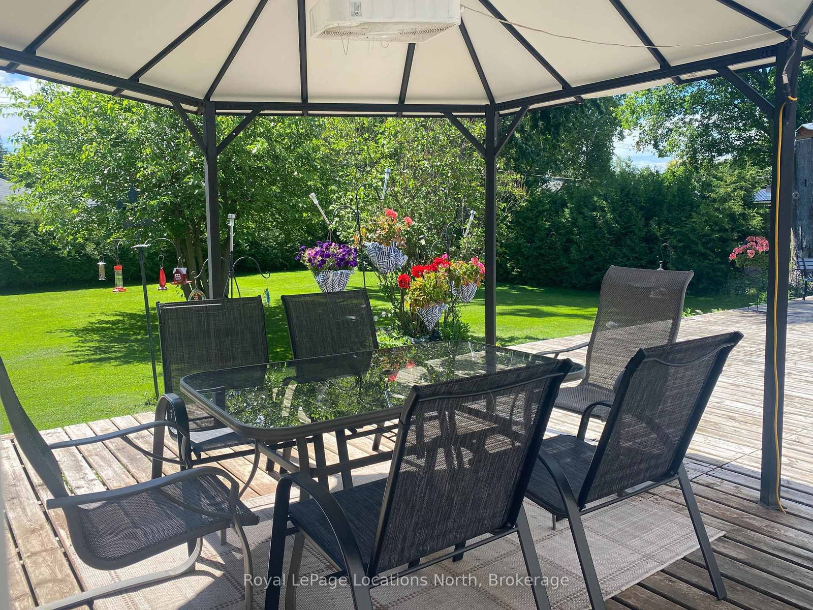 227 Superior Street • Clearview, ON photo 49