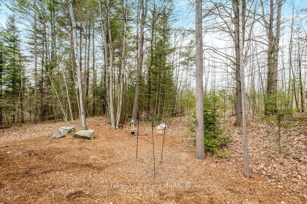 Listing Image 44