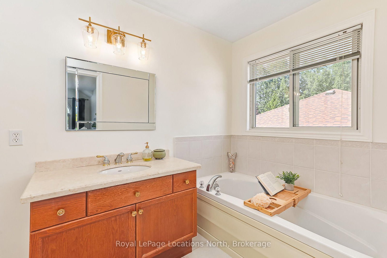 65 Connor Avenue • Collingwood, ON photo 21