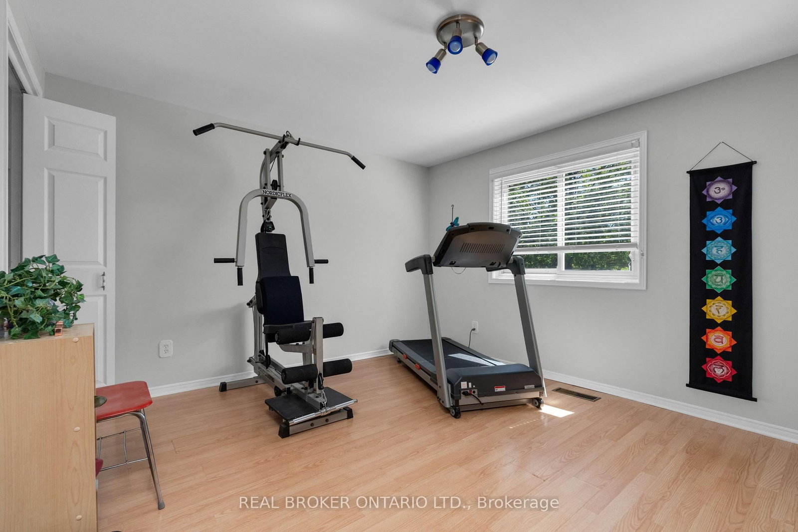 215 Mary Anne Drive • Barrie, ON photo 39