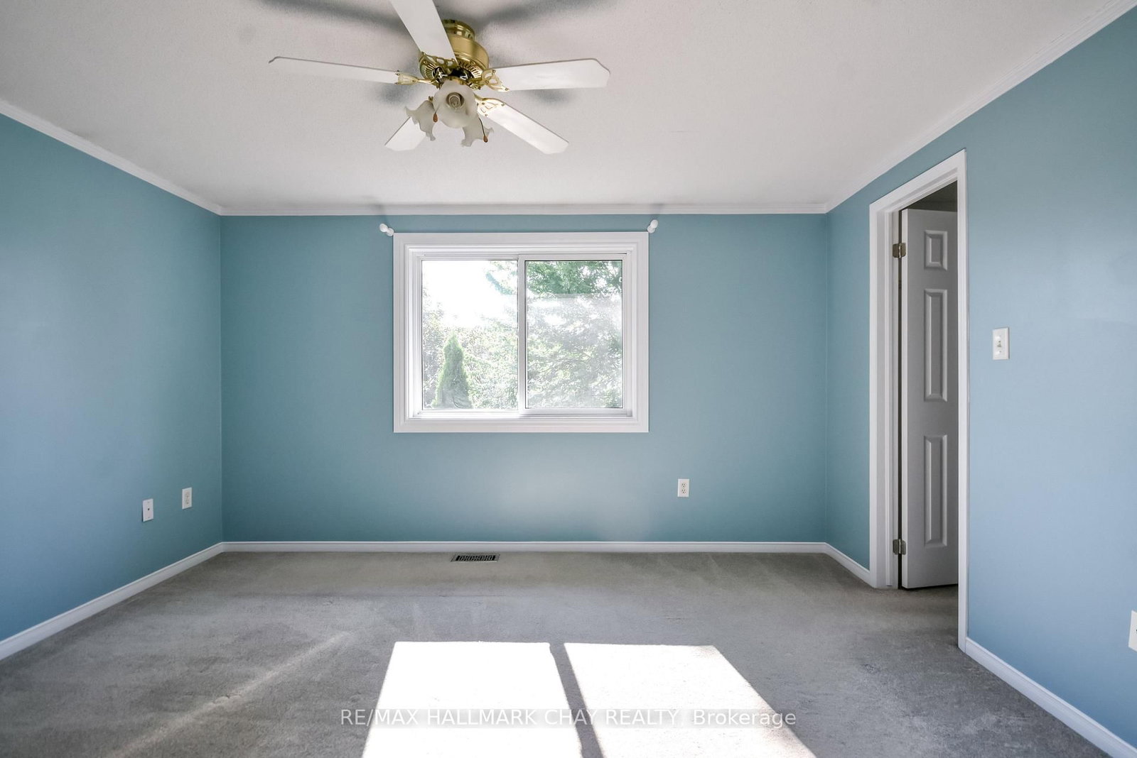 17 Srigley Street • Barrie, ON photo 15