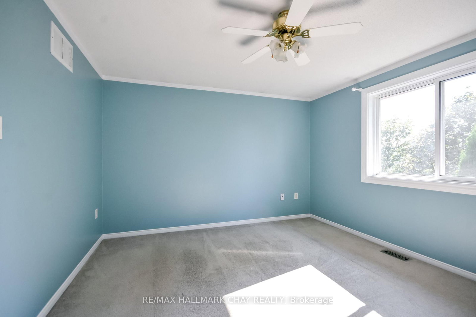 17 Srigley Street • Barrie, ON photo 17