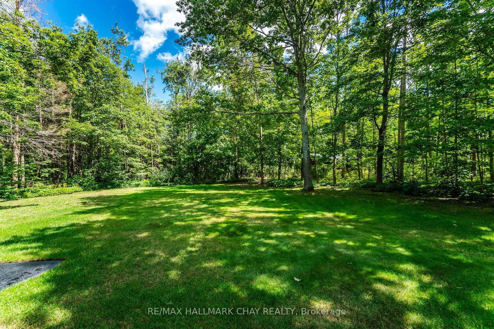 75 Cathedral Pines Road • Oro-Medonte, ON photo 40