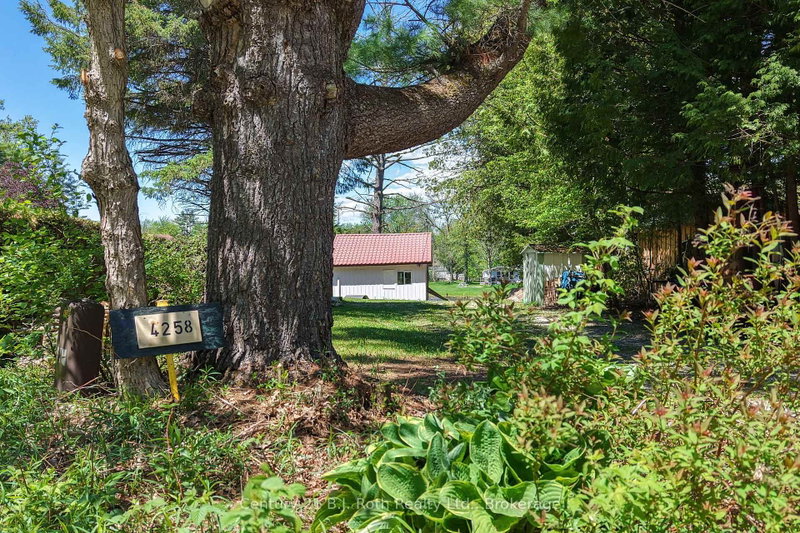 4258 Canal Road