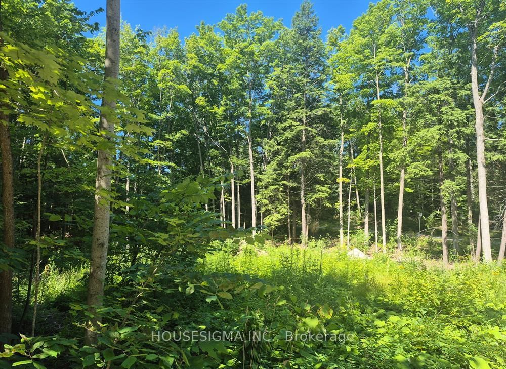 68 Beauremi Road • Tiny, ON photo 17