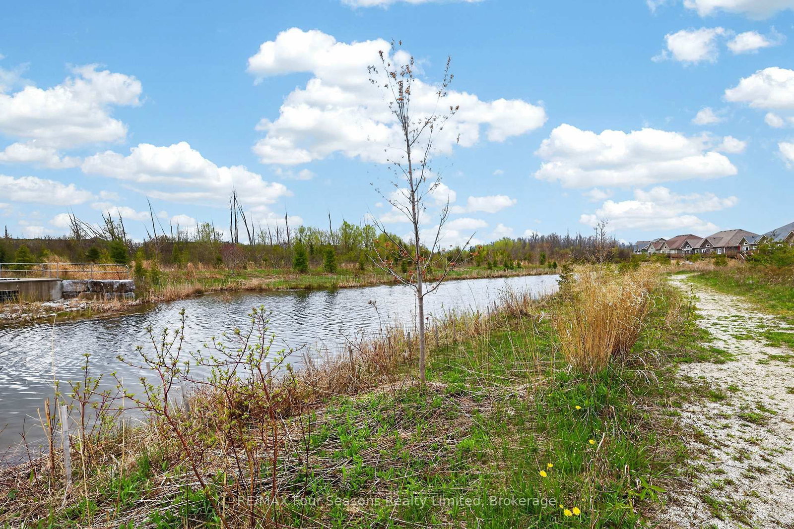100 Kari Crescent • Collingwood, ON photo 34
