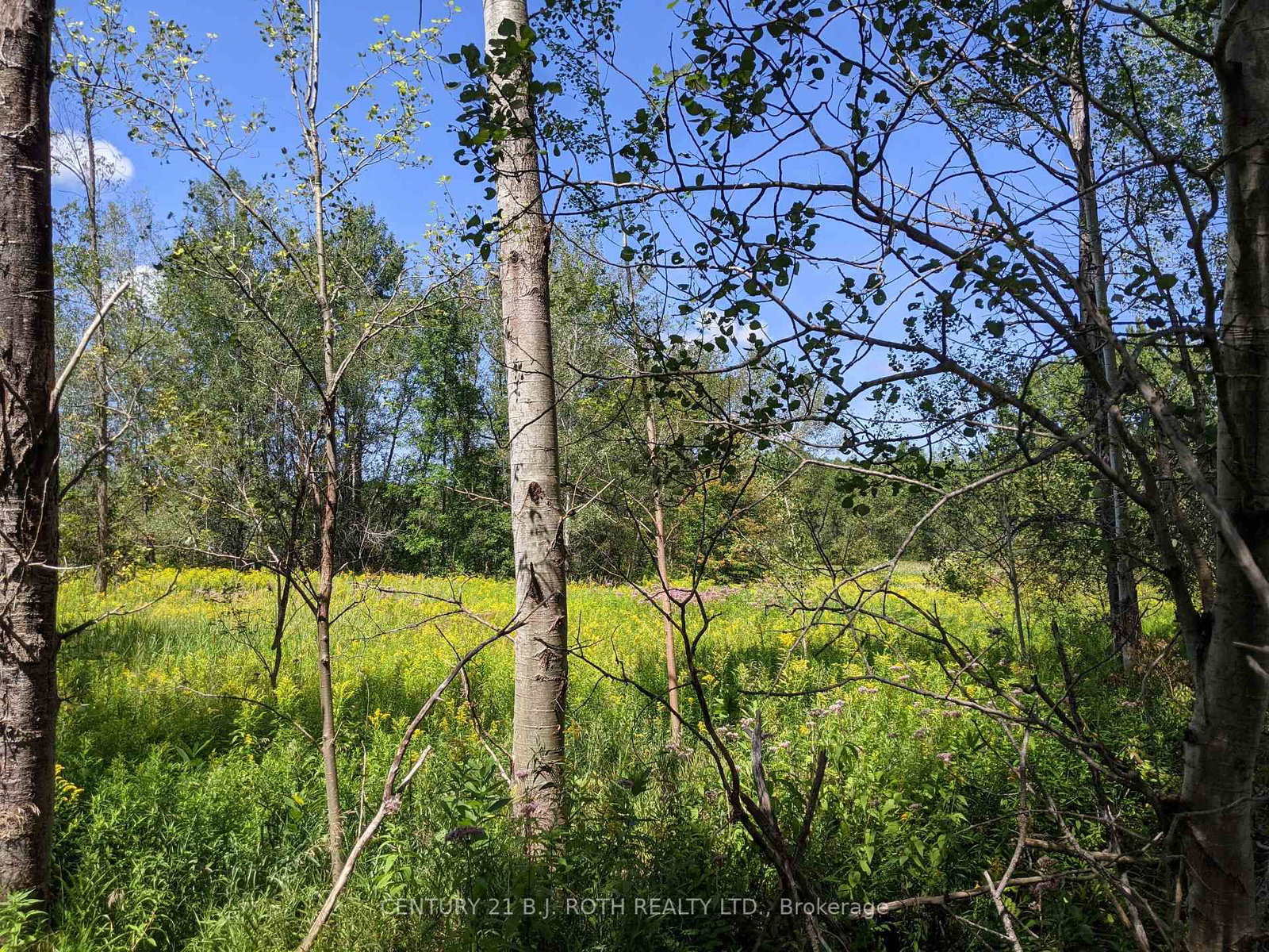 2361 George Johnston Road • Springwater, ON photo 15