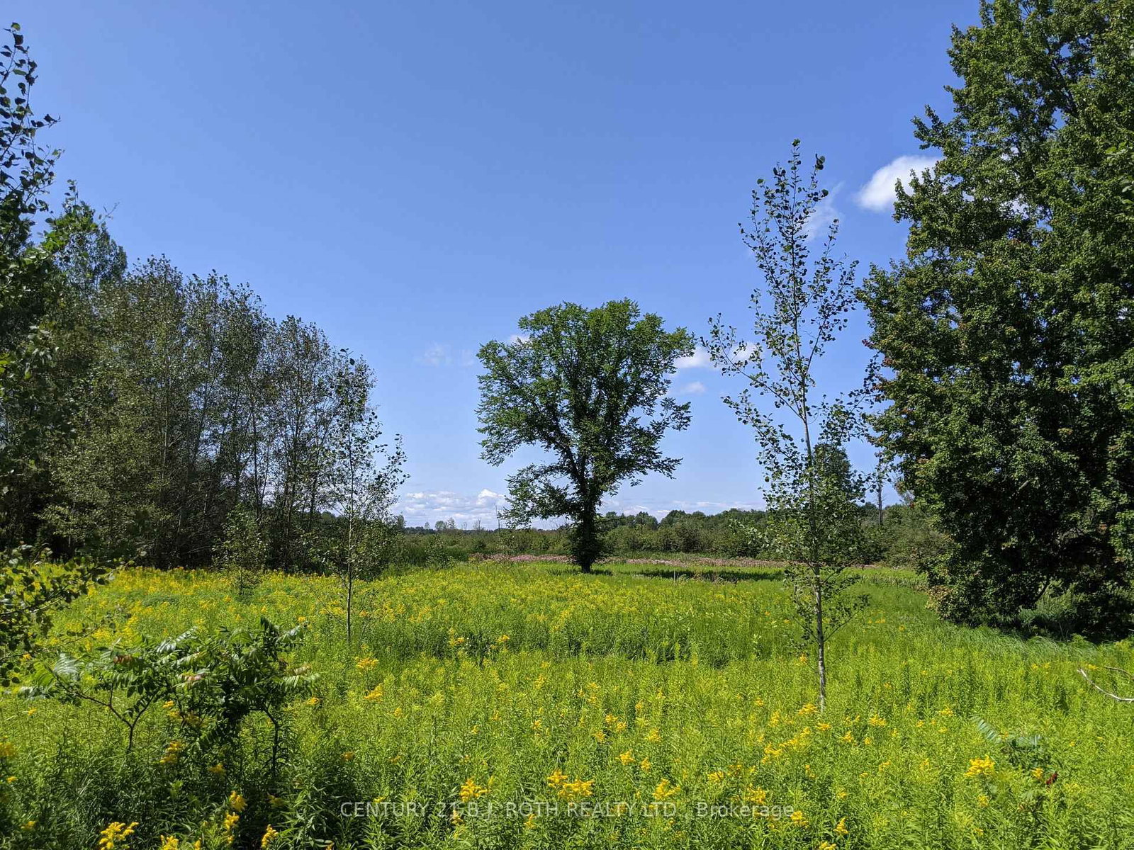 2361 George Johnston Road • Springwater, ON photo 16