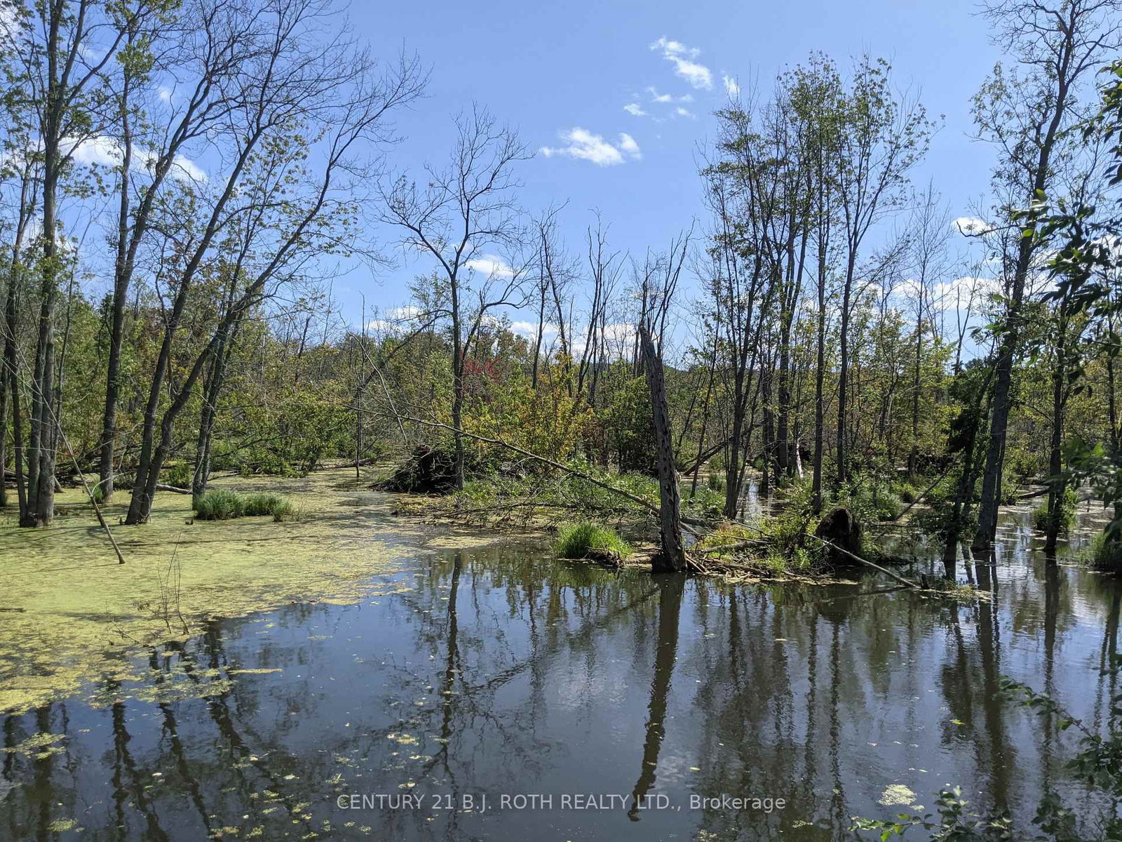 2361 George Johnston Road • Springwater, ON photo 19