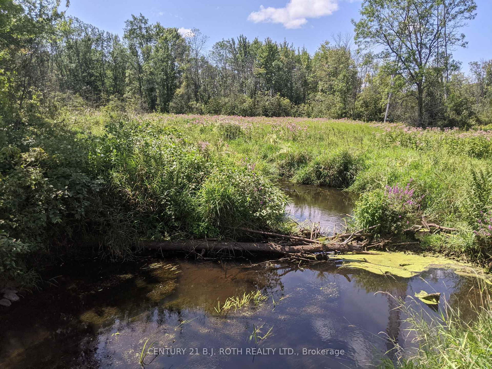 2361 George Johnston Road • Springwater, ON photo 20