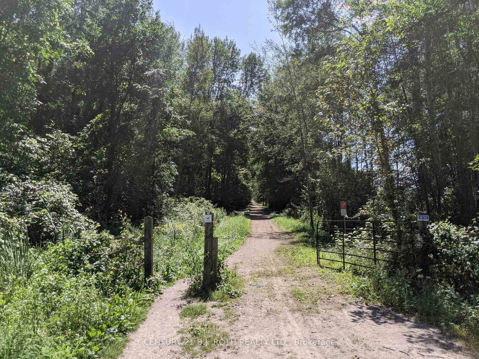 2361 George Johnston Road • Springwater, ON photo 23