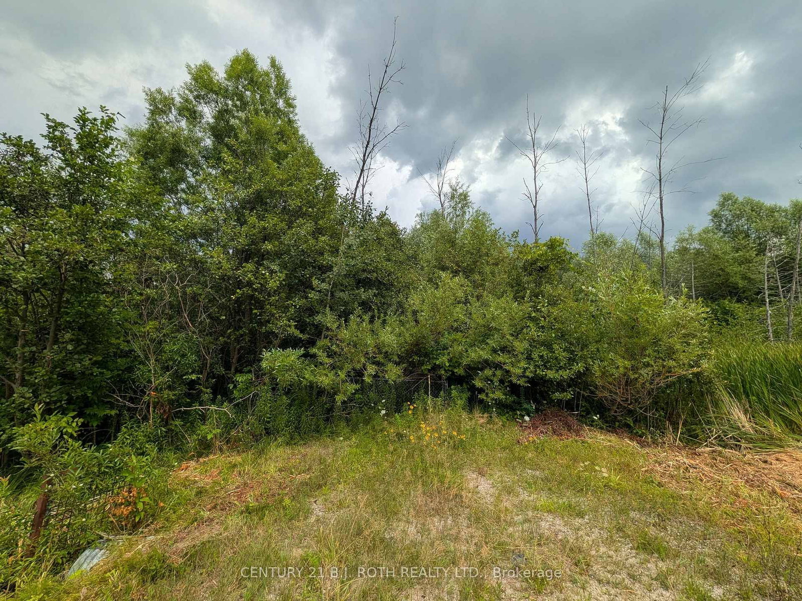 2361 George Johnston Road • Springwater, ON photo 3
