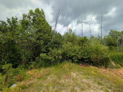 2361 George Johnston Road • Springwater, ON photo 3