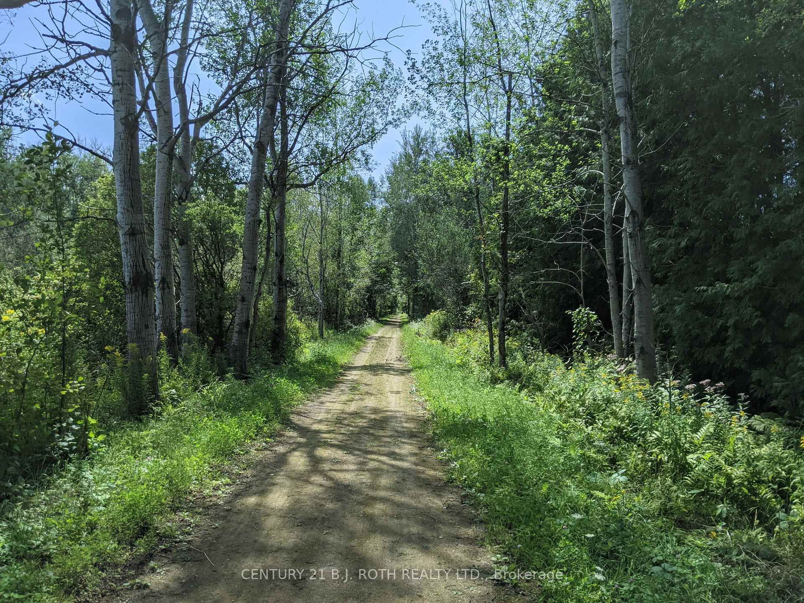 2361 George Johnston Road • Springwater, ON photo 8