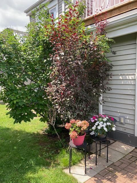 55 Trott Boulevard • #131 • Collingwood, ON photo 21
