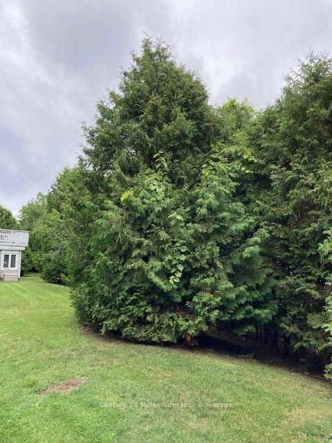 55 Trott Boulevard • #131 • Collingwood, ON photo 26
