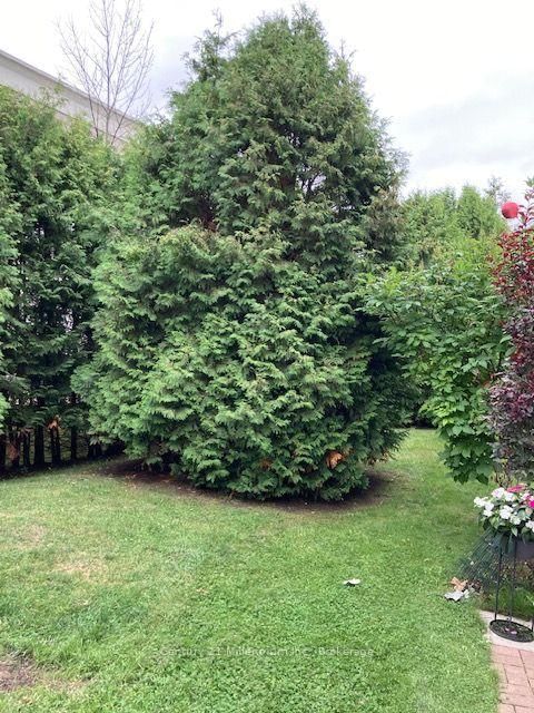 55 Trott Boulevard • #131 • Collingwood, ON photo 27