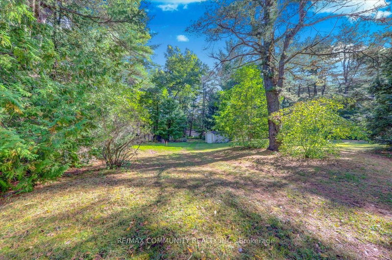 4294 Canal Road